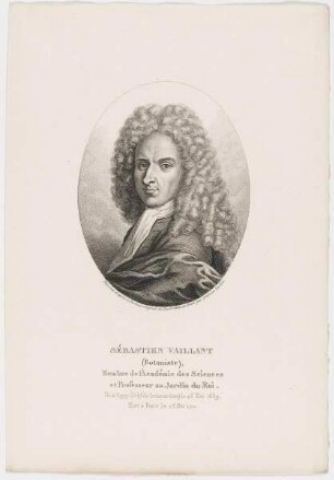 Bildnis des Sébastien Vaillant