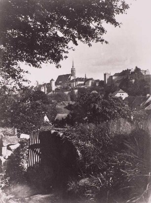 Stadtansicht mit Dom St. Petri und Ortenburg