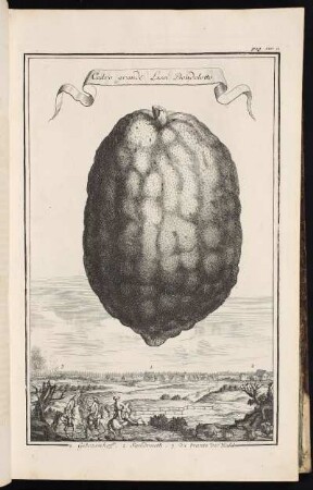 p. 120a 1. Gibezenhoff. 2. Sandreuth. 3. Da brante der Wald. - Nürnberg-Gibitzenhof; Nürnberg-Sandreuth