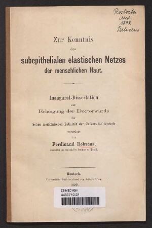 Zur Kenntnis des subephitelialen elastischen Netzes der menschlichen Haut