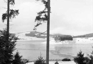 Schluchsee: Ausgelassener Schluchsee mit Eisschollen, Vordergrund Tannen