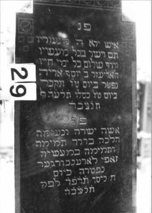 Grabstein 29 (Index: 100100532) Material: Granit Zustand: gut Maße HxBxT: 186x53x24 cm Beschreibung: Stele, getreppter Sockel, eingezogener giebelartiger Abschluß Symbolik: eingemeißeltes geometrisches Fries, Blüten Besonderheit: Doppelgrab: Grabstein 29 (Detailaufnahme)