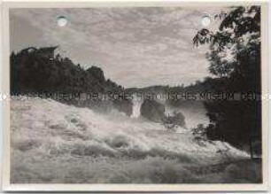 Schaffhausen, Rheinfall