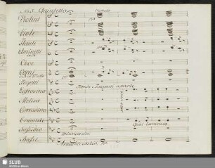 Quintetto: Qual lamento qual voce