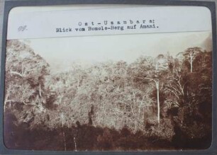 Ost-Usambara. Blick vom Bumole-Berg auf Amani