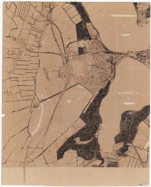Landschaftsaufbauplanung Ratzeburg: Vegetationsbestand 1:5000