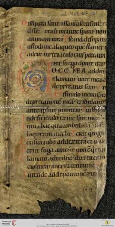Psalterium