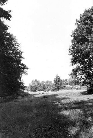 Löbau-Bellwitz. Blick auf die Buschmühle