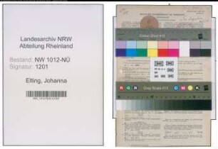 Entnazifizierung Johanna Elting , geb. 17.02.1901 (Buerogehilfin)