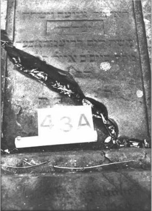 Grabstein 43 (Index: 100105904) Material: Sandstein Zustand: Stein liegend, quer gebrochen mit Textverlust Maße HxBxT: 133x60x17 cm Beschreibung: rechteckige Stele, Sockel, Schriftfeld eingetieft mit Spitzbogenabschluß Symbolik: Maßwerk: Grabstein 43A (1)