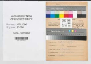 Entnazifizierung Hermann Bolte, geb. 16.12.1901 (Bergmann)