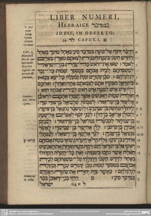 Liber Numeri