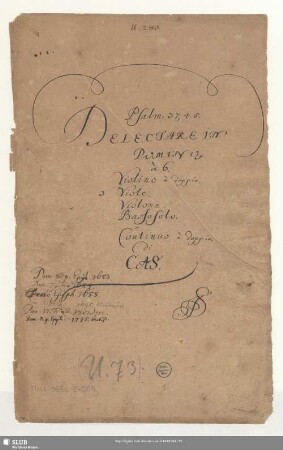 Delectare in Domino - Mus.1696-E-508 : B, strings, bc