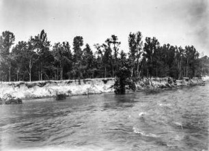 Der Mississippi : Blick auf einen Uferabschnitt des Mississippi.