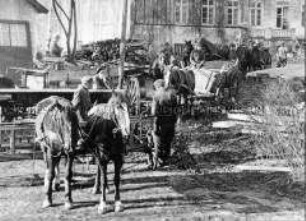 Gemeinsames Pflügen von Bauern in Steinhausen