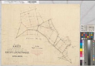 Dülmen (Dülmen), Teilung der Mitwicker Mark Coesfelder Straße zu Dülmen, Brouillonkarte