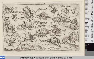 Insekten, Fische und Reptilien