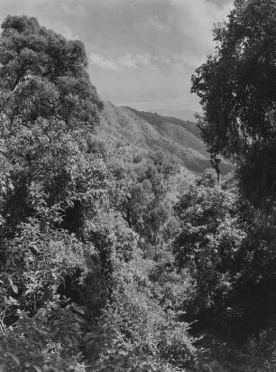 Berglandschaft : Blick über eine bergige Landschaft