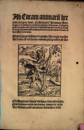 Ad curam animarum hec infra scripta sunt