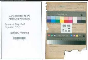 Entnazifizierung Friedrich Schliek , geb. 26.07.1905 (Krankenpfleger)