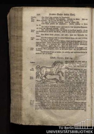 Cap. 24. Pferd, Equus.
