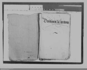 Verwaltung von Lehensgütern