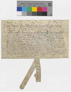 D. von Oldershausen belehnt Georg von Dassel mit einem Hof vor Hoppensen.
