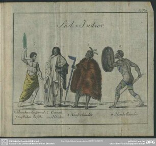 X. Taf. Süd-Indier