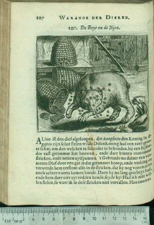 107. De Beyr en de Bijen.