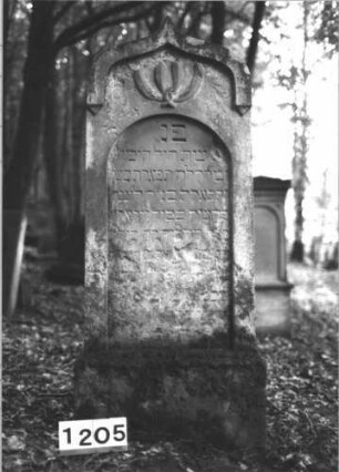 Grabstein 1205 (Index: 99899967) Material: Sandstein Zustand: stark verwittert Maße HxBxT: 152x59x20 cm Beschreibung: aufgesockelte Stele mit Kielbogenabschluss, Verdachung, im Bogenfeld stilisierte Blattornamente Symbolik: Blätter: Grabstein 1205