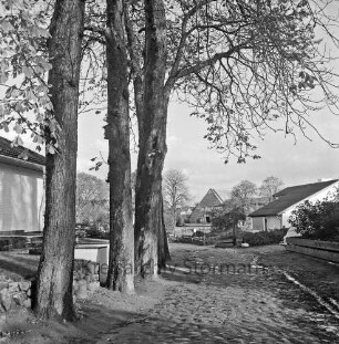 Alte Dorfstraße mit Kopfsteinpflaster: links Baumreihe: dahinter Haus: rechts Einfamilienhaus mit Vorgarten und VW-Käfer: hinten Mitte zwischen Bäumen Bauernhaus