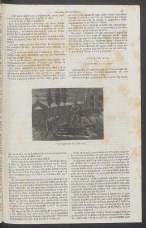 Capítulo XXX. - En demanda de auxilio.