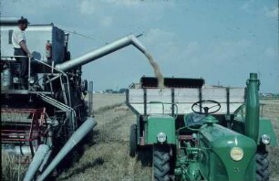 Fotografie: Getreideernte, Mähdrescher selbstfahrend, Standardtraktor, Korntank, Be- und Entladen