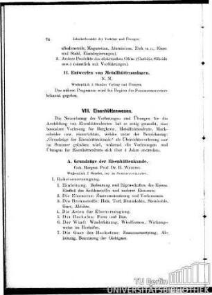 VIII. Eisenhüttenwesen