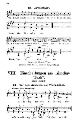 VIII. Einschaltungen am "simchas tôrah".