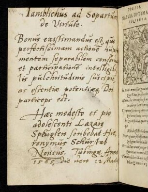 29v, Schürstab, Hieronymus
