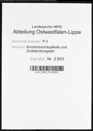 Kirchenbuchduplikat der evangelischen Gemeinde Feudingen (GHT 1874). (Gemeinde: Feudingen, evangelische Gemeinde)