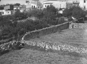 Anbau in Kastelli : Blick auf Anbauflächen und Häuser Kastellis. Die Anbauflächen sind durch Steinmauern getrennt; dahinter ein Olivenhain.