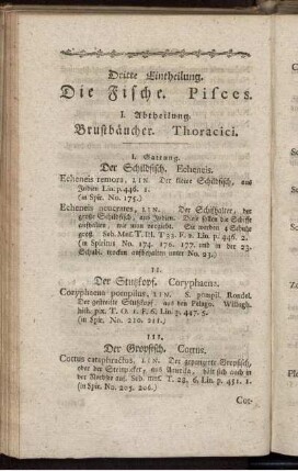 Dritte Eintheilung. Die Fische. Pisces.