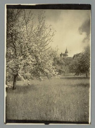 Am Berghang zur Heldburg/b. Meiningen