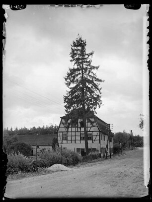 Dübener Heide, Wachtmeister