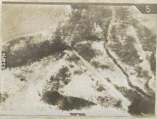 Waldbucht zwischen Karlshof und Isar (nördl. Ismaning) (500 m)