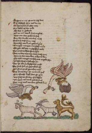 Ochse, Ziegenbock, Löwe, Fledermaus und Greifvögel; (Vom Streit der Tiere und Vögel, Kapitel XLIV nach Pfeiffer)