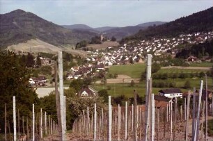 Kappelrodeck: Weinberg von Waldulm mit Blick auf Kappelrodeck
