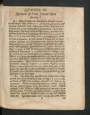 Quaestio III. Quomodo & Unde Hebraeis Asina dicatur?
