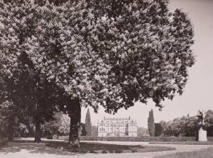 Palais im Großen Garten : Blühende Kastanien mit Blick über den Palaisteich zum Palais und zur Üppigkeitsvase von A. Corradini