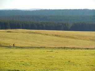Wälder und Wiesen bei Elbingerode : Wälder und Wiesen auf der Harzhochfläche bei Elbingerode. Aufgenommen im Harz am 23. Oktober 2011