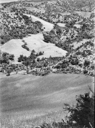 Talblick : Blick vom Berg auf mit Gerste und Macchie bewachsenen Hänge.
