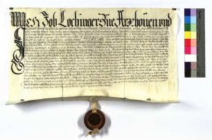 Revers des Jobb Lochinger wegen seines Deutschordenslehenhofs zu Holzhausen