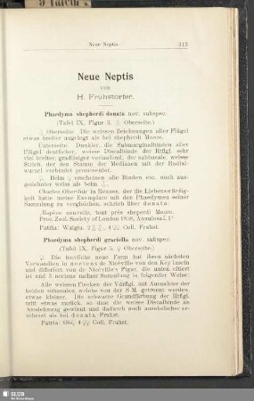Neue Neptis